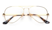 Aviator RB6489-2500 55