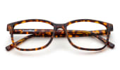 Highlands - Brown Tortoise