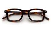 Juniper - Shiny Havana