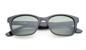 Shore - Shiny Black Polarized