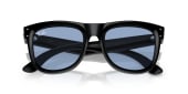 Wayfarer Reverse RBR0502S-667772